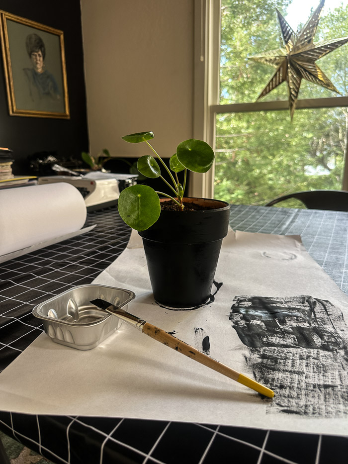 Growing Plants- Tracy Benjamin of Shutterbean.com